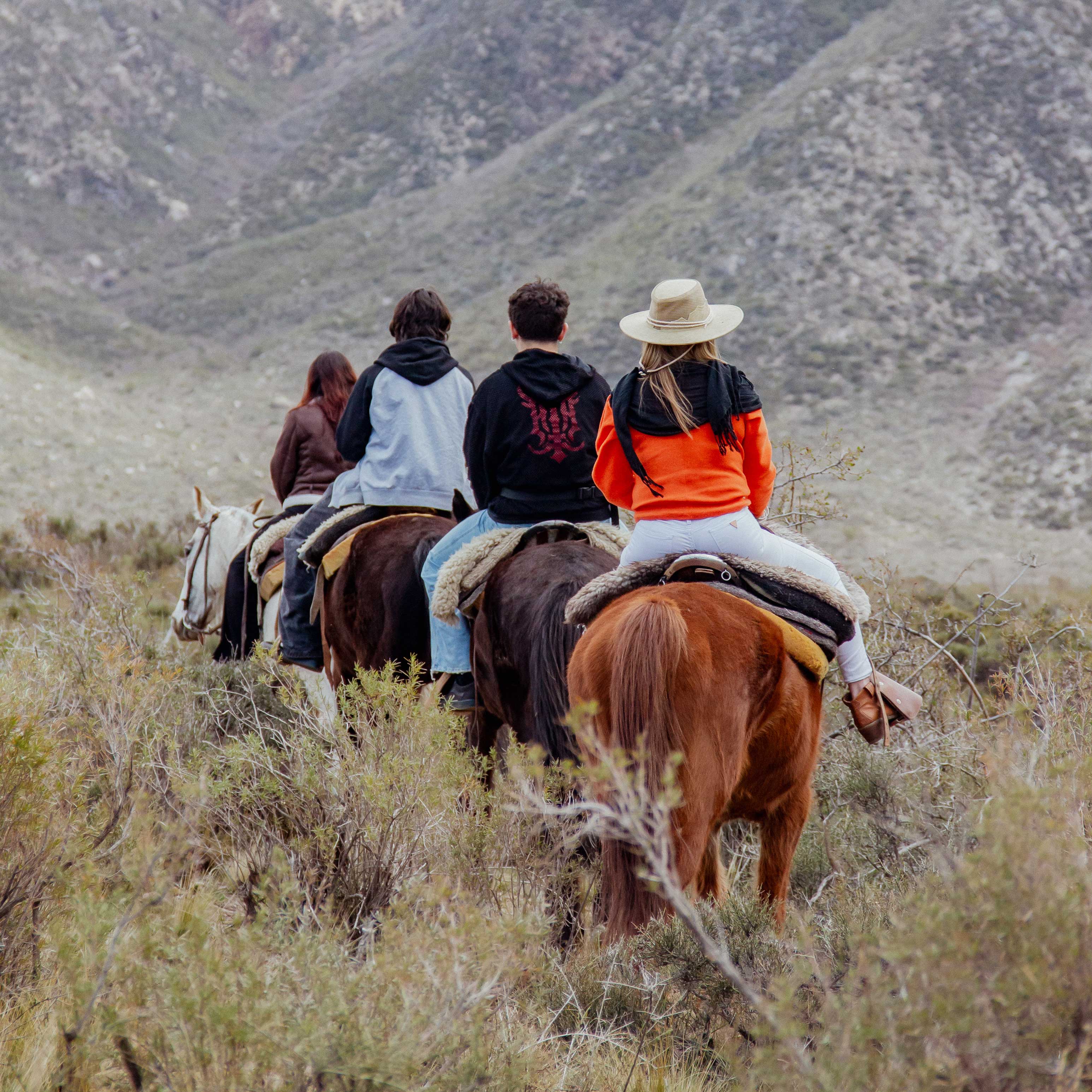 Foto de Cabalgatas y caminatas