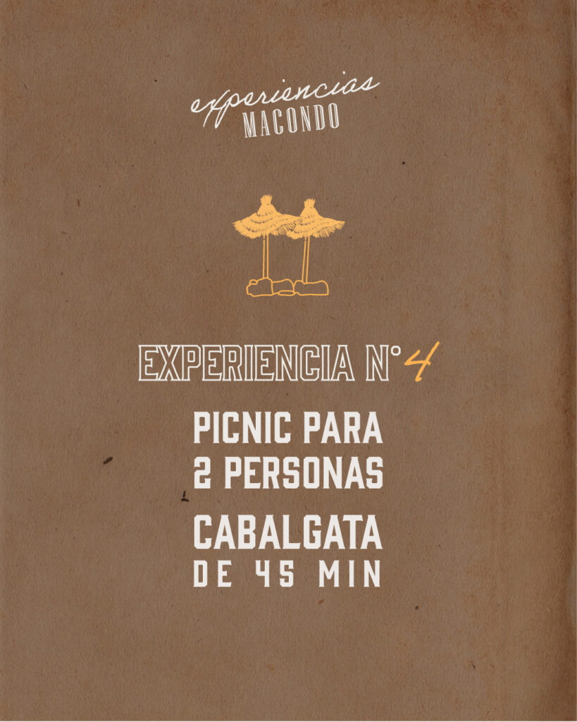 Experiencia Nº4