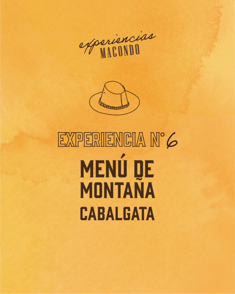 Experiencia Nº6