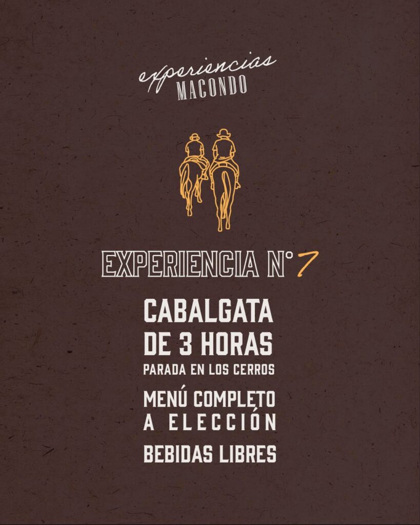 Experiencia Nº7
